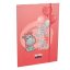 Gumis mappa LIZZY CARD A4 Tiny Hippo