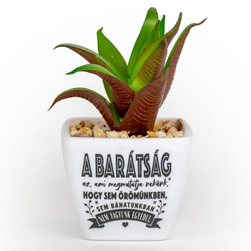 Ajándék szeretettel, Örökzöld inspiráció otthonra és irodába