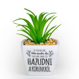   Ajándék szeretettel,- Örökzöld inspiráció otthonra és irodába - kor