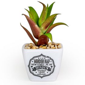   Ajándék szeretettel, Örökzöld inspiráció otthonra és irodába