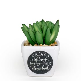   Ajándék szeretettel,- Örökzöld inspiráció otthonra és irodába - álmok