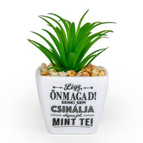   Ajándék szeretettel, Örökzöld inspiráció otthonra és irodába