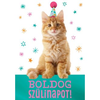Képeslap, születésnap, macska, Cardex, D árkód