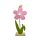 Virág filc talpas 37cm rózsaszín