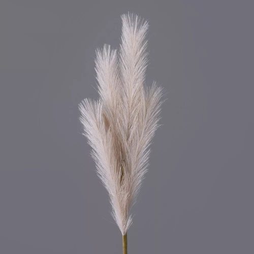 4 ágú pampafű ág, 58cm magas - Bézs