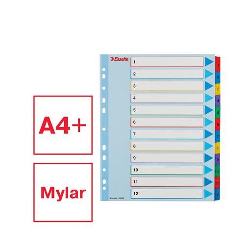 Regiszter, laminált karton, A4 Maxi, 1-12, újraírható, ESSELTE