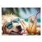 Irattartó tasak, A5 PP, patentos, 180 mikron, PANTA PLAST  Chillout dog 