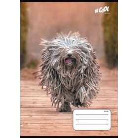 A5 mintás kockás füzet