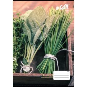 Vonalas füzet A/4, mintás