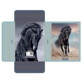 A/5 Füzetbox lovas NEBULO