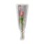 Élethű tulipán – elegáns és tartós ajándék - rózsaszín