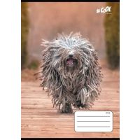 A5-ös tűzött füzetek