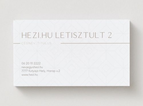 Névjegykártya Letisztult 2 - 120 db