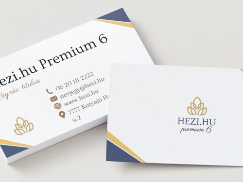 Névjegykártya Prémium 6 - 240 db