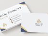 Névjegykártya Prémium 6 - 480 db